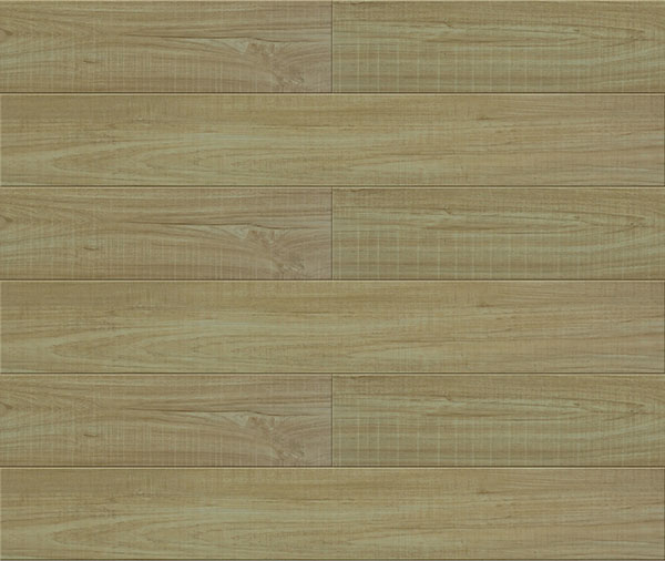 横纹63097